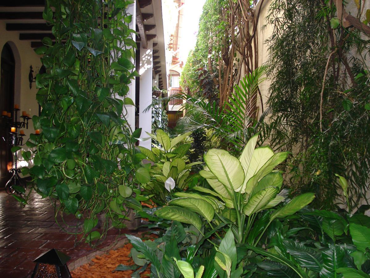 Casa Florencia Hotel Antigua Dış mekan fotoğraf