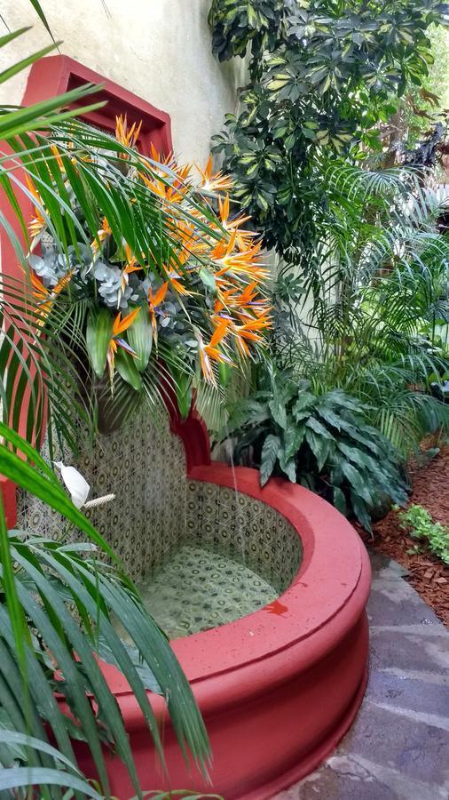 Casa Florencia Hotel Antigua Dış mekan fotoğraf